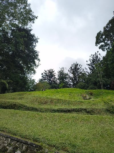 A low-angle shot reveals a grassy, terraced embankment descending to the right, framed by trees and a cloudy sky. The vegetation is lush, contrasting with the gray sky peeking through the tree canopy. At the bottom right, a stone wall adds a touch of structure, while the overall impression is one of natural scenery. The image is tilted, creating a slightly disorienting perspective.