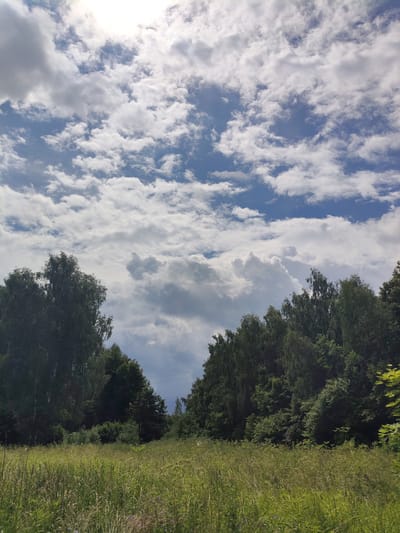 The image depicts a natural landscape with a focus on the sky and a wooded area. The sky is filled with a mix of white and gray clouds, with patches of blue sky visible. The sun is partially obscured by the clouds, casting a bright light. Below the sky is a dense line of trees, predominantly deciduous, with some darker evergreen trees interspersed. The trees form a natural boundary. In the foreground, a field of tall, green grass and wildflowers stretches out. The overall impression is one of a rural or semi-natural setting, likely in the outskirts of a town or city. The location of Манушкино, Russia, suggests a temperate climate, consistent with the vegetation observed. There are no people or specific man-made structures clearly visible in the image, except for what appears to be a distant utility pole and wires on the right side of the frame.