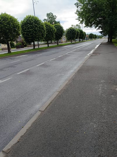 The image shows a straight, wet asphalt road in Jõhvi, Estonia, lined with neatly trimmed, rounded trees on the left side and larger trees on the right. A paved sidewalk runs along the right side of the road. The road has white lane markings. The sky is overcast. Buildings are visible in the background on the left, set back from the road behind the trees. There are no people or vehicles visible in the image. The overall scene suggests a quiet, residential or commercial street, likely after rain.