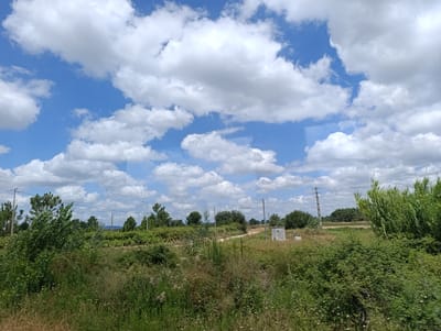 This is a medium-shot, eye-level, horizontal, exterior, daytime photograph capturing a rural landscape under a bright, cloudy sky. The scene is dominated by lush green vegetation, including trees, bushes, and tall grasses, with a dirt road visible in the middle ground. A small, gray, concrete structure with pipes and a white tank is situated on the right side of the road. Electrical poles and wires traverse the background, suggesting proximity to infrastructure. The sky is a vivid blue, dotted with large, fluffy white clouds, indicating fair weather. The overall impression is one of natural beauty and tranquility. The image appears to have been taken from a moving vehicle, possibly a train or car, due to a slight reflection visible on the right side of the frame. No people are visible in the photograph, and there is no visible text. The location context suggests this scene is in Salvaterra de Magos, Portugal.