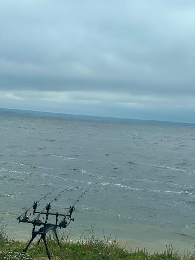 The image depicts a waterfront scene in Krasnovidovo, Russia, characterized by overcast skies and choppy water. In the foreground, a set of three fishing rods are mounted on a black tripod stand, positioned on a grassy bank. The fishing rods are angled towards the water, suggesting they are set up for fishing. The water itself appears agitated with visible ripples and whitecaps, indicating a breezy or windy condition. The distant horizon is marked by a faint line of land, likely a shoreline or hills, under a heavy, gray cloud cover. The vegetation in the immediate foreground consists of green grass and scattered small white and purple wildflowers. The overall atmosphere is somber due to the weather conditions.