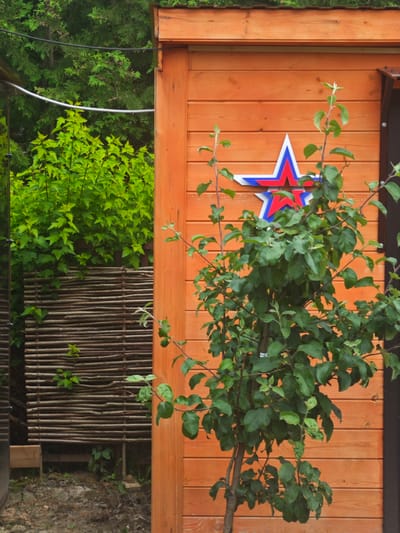 In the village of Khlevino, Russia, a wooden shed with an orange-stained facade stands prominently. A decorative star emblem, featuring red and blue accents, is affixed to the shed's wall. In front of the shed, a young deciduous tree with lush green foliage is growing. To the left of the shed, a woven fence made of natural branches creates a rustic backdrop. Behind the fence, dense green foliage from other plants forms a verdant wall. The ground in front of the shed is covered with soil and small stones. Overhead, dark green trees are visible, their branches reaching towards the sky. Electrical wires are suspended in the upper portion of the image.