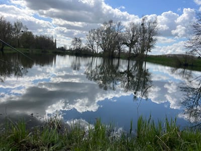 The image depicts a tranquil lake scene in Gavisse, France. The water's surface reflects the sky's cumulus clouds and bordering trees. The lake edges are fringed with green grass and vegetation. Fishing rods are faintly visible along the left bank, indicating someone is likely fishing. The background shows tree silhouettes and a grassy bank.