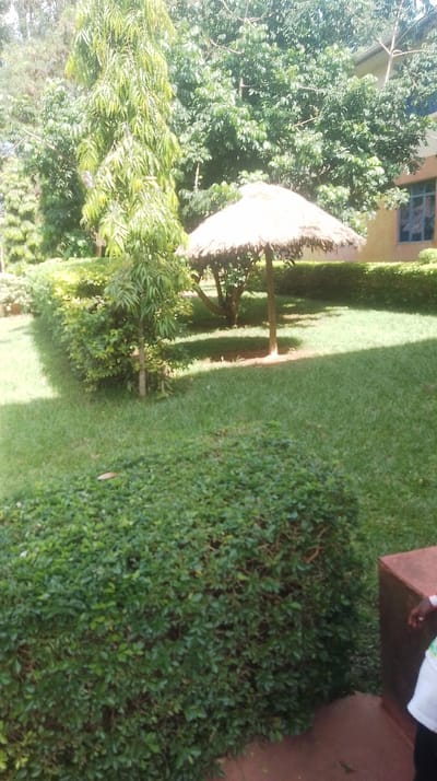 The image displays a well-maintained outdoor green space located in Siaya Township ward, Kenya. The foreground features a dense, manicured green hedge. To the immediate right, a reddish-brown paved area is partially visible, showing the lower torso and right arm of an individual wearing a white and green patterned top and dark lower garments, positioned next to a reddish-brown low wall or planter. Behind the hedge, a verdant green lawn extends into the midground. A prominent thatched umbrella-like structure, supported by a central wooden pole, stands on the lawn, casting a circular shadow. To the left of this structure, a tall, slender tree with light green foliage is visible. The background consists of abundant green trees and shrubs, with a portion of a light-colored building featuring blue-framed windows discernible through the foliage on the right side. The scene is illuminated by bright sunlight, creating distinct shadows. No other individuals or specific actions are clearly identifiable.