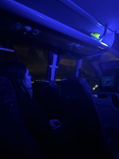 The image shows the interior of a bus lit by blue overhead lights. A young woman, facing right, sits in a seat on the left side of the bus. She is wearing a dark-colored shirt. Her face is visible, and she is looking out the window. A partially-obscured window on the right side of the bus shows a dark cityscape at night with lights in the distance. There are three air vents in the ceiling along with a small, yellow object on a shelf. The bus is likely traveling through the outskirts of La Losa, Spain, a town located in the province of Guadalajara in the autonomous community of Castile-La Mancha. The town is located near the confluence of the rivers Jarama and Henares, and the image appears to be taken at night.