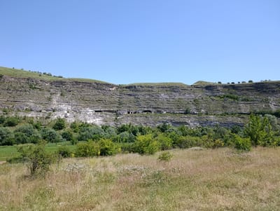 The image shows a wide, panoramic view of a natural landscape under a clear blue sky. In the foreground, a field of dry, tall grass with scattered wildflowers stretches towards the middle ground. Beyond the field, a lush green forest with various trees and bushes occupies the lower portion of the scene.

Dominating the background is a massive, layered rock cliff face. The cliff is characterized by distinct horizontal strata of greyish-white rock. Embedded within the cliff face are several dark, rectangular openings, suggesting man-made caves or dwellings carved into the rock. The top of the cliff is covered in green grass and sparse vegetation.

The location is identified as being in the vicinity of Trebujeni, Moldova. The scene depicts a natural geological formation with signs of historical human habitation.