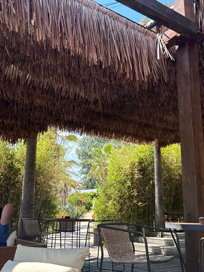 This image depicts an outdoor seating area, likely a restaurant or cafe, situated in Nea Peramos, Greece. The scene is shaded by a thatched roof made of dried palm fronds, supported by wooden beams and posts. In the foreground, a wicker chair with a metal frame is visible on a wooden deck. Beyond the seating area, dense green foliage, including bamboo and palm trees, forms a natural backdrop. A pathway or walkway leads further into the greenery, suggesting a garden or outdoor space. The lighting indicates it is daytime, with sunlight filtering through the vegetation. No specific actions or interactions are clearly captured, but the presence of chairs and tables suggests a place for patrons.