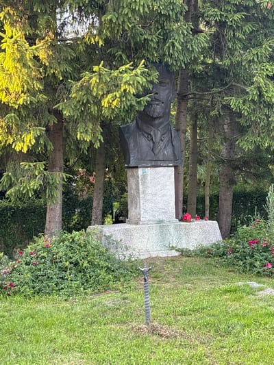 A statue of a man's bust is partially obscured by evergreen trees. The statue is made of dark material and is mounted on a granite pedestal. The pedestal is surrounded by green bushes and pink flowers. A small metal stake with a decorative top is planted in the grass in front of the pedestal. The ground is covered in green grass. The image appears to be taken in a park or cemetery setting. The location is Primorye, Russia.