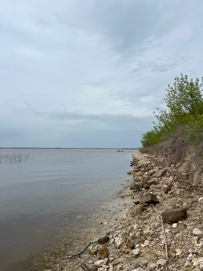 The image depicts a body of water, likely a river or lake, meeting a rocky shoreline. Overcast sky is visible above. The shoreline consists of rocks and foliage with trees. The water is murky. Several protruding sticks are present in the water in the distance. No individuals are identifiable. The location is unspecified but potentially near the city of Gavrilkovo, Russia.