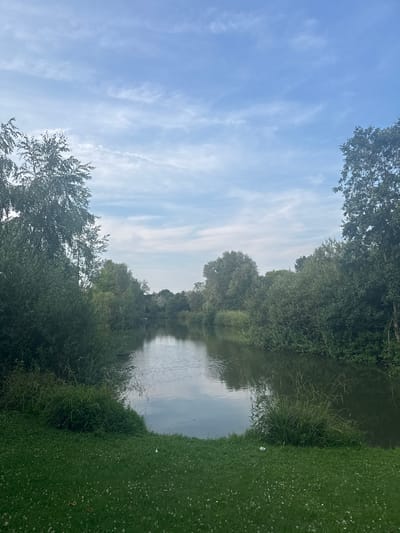 A tranquil, outdoor scene depicts a body of water flanked by lush green foliage under a partly cloudy sky. The water, a dark, reflective surface, curves gently into the distance, bordered by dense trees and bushes on both sides. The foreground consists of a well-maintained lawn dotted with small white wildflowers, suggesting a park or natural area. The sky above is a soft blue, streaked with wispy white clouds, creating a serene atmosphere. The overall impression is one of natural beauty and peacefulness, a scene that could be found in a park or along a riverbank.