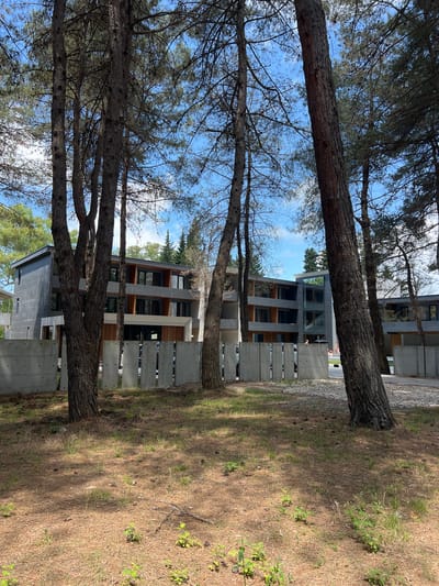The image depicts a modern, multi-story building complex partially obscured by a line of tall pine trees in the foreground. The building features a contemporary design with concrete, wood, and glass elements. A concrete barrier with vertical panels runs across the front of the property. In the background, more trees and a clear blue sky with scattered clouds are visible. The ground in the foreground is covered with pine needles and sparse vegetation.