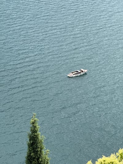 This is an aerial, high-angle shot of a small, white boat with a tan interior floating on calm, blue-green water. The water's surface is textured with numerous small ripples, creating a shimmering effect. The boat appears to be unoccupied, with its bow pointing towards the top left of the frame.

To the right of the boat, a vibrant green tree branch with small yellow flowers extends into the frame from the top right corner. Further down on the right side, a larger evergreen tree leans out over the water, its dense foliage a dark green. The overall impression is one of tranquility and natural beauty, possibly captured on a clear day. The location is Moltrasio, Italy. There is no visible text in the image.