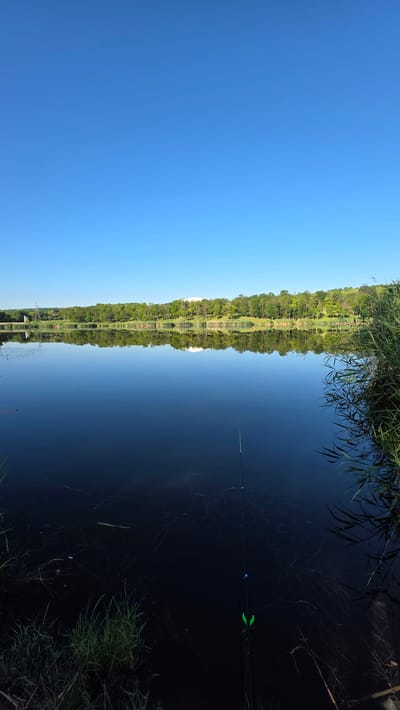 The image depicts a tranquil natural scene by a lake under a clear blue sky. In the foreground, a fishing rod with bright green rod rests are positioned on the bank, extending into the dark water. The water's surface is highly reflective, mirroring the lush green trees and vegetation lining the opposite shore. A faint reflection of buildings or structures can also be observed on the distant bank. The overall atmosphere is serene, suggesting a peaceful setting for fishing or enjoying nature. The location is identified as being within the city of Grătiești, Moldova.