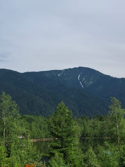 A panoramic outdoor photograph taken on a cloudy day captures a vast, tree-covered mountain range in the background, with a large lake and dense forest in the foreground. The mountain's peak is partially obscured by snow, suggesting it's either early spring or late autumn. The lake reflects the surrounding trees and the overcast sky, creating a serene and natural ambiance. In the foreground, various types of trees, including birches and pines, create a lush green landscape. The image likely depicts the natural beauty surrounding Vydrino, Russia, a town known for its proximity to Lake Baikal and the surrounding taiga. There are no people or animals visible in the frame.