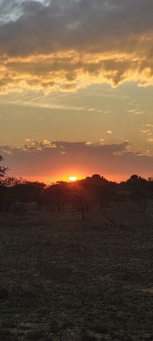 This image captures a sunset over the Seronera region of Tanzania. The sky dominates the upper two-thirds of the vertical composition, displaying layers of clouds. The uppermost clouds are dark grey, transitioning downwards into bands of golden-orange and light yellow. A bright, intense orange-yellow sun disk is visible near the horizon, partially obscured by the dark silhouettes of distant landforms and scattered trees. A prominent, rounded kopje (rocky outcrop) is silhouetted against the setting sun to the right. Below the horizon, the midground and foreground consist of a dark, open savanna landscape with sparse, scrubby trees and dry ground vegetation. No individuals, animals, or man-made structures are discernible within the frame. The scene conveys an arid, natural environment under the evening sky.