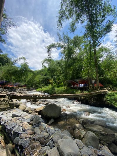 A stream of water rushes over rocks, bordered by a rock retaining wall encased in wire mesh. A rickety wooden bridge spans the stream, leading to a canopy structure. Lush green trees and bamboo stalks frame the scene, reaching towards a blue sky dotted with fluffy white clouds. The image is taken from a low angle, emphasizing the height of the trees and the flow of the water.