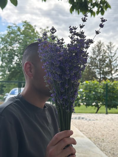A person, partially obscured by a bouquet of lavender, stands outdoors. They are wearing a dark grey t-shirt and their left side, including their ear and part of their face, is visible. The lavender is held in their right hand. The background shows a blurred environment with green trees, a fence, and a gravel-covered area. A white car is partially visible to the left. The sky is cloudy. The location is identified as Selanovtsi, Bulgaria.