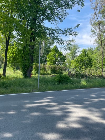 The image depicts a road in Wysoka, Poland, partially shaded by trees. A convex mirror on a metal pole is positioned along the roadside, near a large tree. In the background, there is a wooded area and blue sky with scattered clouds. The road surface is gray with a white line marking the edge. The grass along the roadside is green and overgrown.