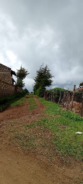 This image depicts an unpaved dirt road ascending gently uphill in Rwanyambo, Kenya, under an overcast sky. The road, characterized by reddish-brown earth and two distinct vehicle tracks, is flanked by strips of green grass. On the left, a partially constructed building made of light-colored concrete blocks is visible, with an adjacent block fence extending along the roadside. Several green trees rise behind this structure. On the right, a rustic fence composed of vertical wooden poles and interwoven dry branches separates the road from dense green foliage, appearing as a thick hedge or natural barrier. A utility pole with visible lines stands on the left side of the road further in the mid-ground. The overall environment suggests a semi-rural or developing urban area with prominent natural elements. No people or animals are present.