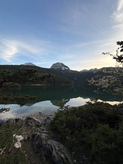 The image shows a mirrored reflection of a mountain and sky in water. The mountain has snow-capped peaks and is covered in dense green forest. The sky is a pale blue with wispy clouds. The foreground contains trees and rocky terrain on the right. The water appears still and calm, creating a near-perfect reflection. The photo seems to be taken in a mountainous region, potentially in the Pitomine, Montenegro area, given the mention of the location. There is no explicit evidence of people, subjects, objects, actions or interactions in this image.