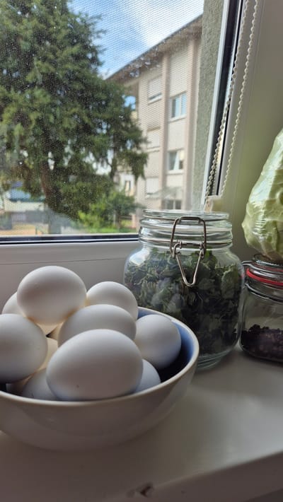 The image shows a collection of white eggs in a light blue and white bowl, placed on a windowsill. To the left of the bowl are two glass jars, one containing dried green herbs and the other seemingly filled with spices or seeds. Behind the jars, a portion of what appears to be a large head of cabbage, wrapped in plastic, is visible.

Through the window, a building with multiple floors and windows can be seen, along with lush green trees. The sky appears to be blue, suggesting it is daytime, likely with good weather. A fine mesh screen is visible on the window. The scene is set indoors, on a windowsill, looking out onto an urban or suburban environment. The lighting suggests daylight, possibly late morning or afternoon, with the sun casting shadows and highlighting the objects on the sill. There are no people or animals visible. The overall impression is one of a domestic setting, with food items and ingredients prepared or stored near a window. The image is oriented vertically.