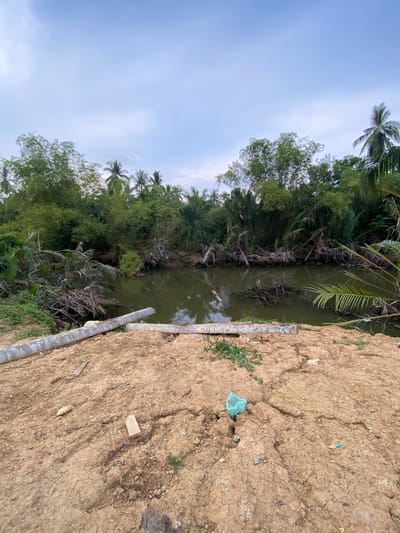 The image depicts a waterway in Tanjongkapai, Indonesia, flanked by lush vegetation on one side and cracked, dry earth on the other. The water is dark, possibly stagnant, with submerged branches and debris visible. The vegetation includes trees, palms, and dense undergrowth. On the earthen bank, trash and small plants are visible. The sky is overcast.