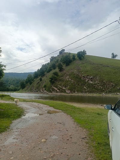 This image, captured in Gabdyukovo, Russia, presents a rural landscape under an overcast sky. A prominent, steep, green hill covered in grass and scattered deciduous trees dominates the right and central background, with exposed rock formations visible on its lower slopes adjacent to a body of water. Further left in the background, a larger, heavily forested mountain range is visible. A river or large stream flows horizontally across the middle ground, its surface reflecting the cloudy sky. In the foreground, a wet, unpaved dirt and gravel road, marked with several puddles, extends diagonally from the lower center toward the left. Lush green grass borders the road. A light-colored dog is seen from behind, walking on this road toward the left. Multiple dark utility lines traverse the upper portion of the frame. The front side and mirror of a white vehicle are partially visible on the far right edge, parked on the grass. Thin, dark vertical posts, possibly part of a fence, are visible near the water's edge on the left.