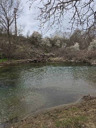 The image displays a natural outdoor scene within the city of Mlado Nagorichane, North Macedonia. A body of water occupies the lower half of the frame, with a sandy and earthen bank showing sparse green growth along its immediate right edge. The water's surface is marked by ripples, and its varying translucency reveals lighter sediment near the shore and darker areas suggesting depth. The background ascends into a vegetated slope. On the left, tall, bare deciduous trees are visible, behind which a slender, segmented utility pole or communication mast rises prominently against the sky. A large fallen tree trunk and accompanying debris extend from the left bank, partially submerged in the water. The mid-to-right background is densely covered with bushes and trees, many exhibiting white blossoms characteristic of springtime. The upper portion of the scene is dominated by an overcast, cloudy sky. No individuals are present.