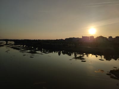 A panoramic, wide-angle, aerial view captures a sunset over a tranquil river. The sun, a bright, intense orb, is positioned slightly off-center to the right, casting a warm, golden glow across the sky and reflecting vibrantly on the water's surface. The sky transitions from a soft blue-grey at the top to a pale yellow and orange near the horizon, with thin, white contrails from airplanes streaking across the upper atmosphere.
Along the riverbank on the right, a line of buildings, appearing to be apartment complexes or offices, is silhouetted against the fading light. These structures vary in height and architectural style, creating a modern urban skyline. A band of trees separates the buildings from the river, their dark forms creating a stark contrast with the illuminated sky and water. On the left side of the frame, a bridge with visible towers and cables spans the river, its structure partially obscured by the dusky light and reflections.
The river itself is the dominant feature, its dark, reflective surface mirroring the sky and the silhouettes of the trees and buildings. Patches of aquatic vegetation, appearing as darker, irregular shapes, break the smooth surface of the water, adding texture and visual interest. Several small, dark silhouettes of birds in flight are scattered across the river's surface, adding a sense of movement to the otherwise serene scene.
The overall mood is peaceful and contemplative, evoking the calm end of a day. The time of day is clearly sunset, indicated by the low position of the sun and the warm, diffused light. The presence of buildings and a bridge suggests an urban or suburban setting near a river. The weather appears clear, with only the wispy contrails suggesting atmospheric conditions. No text is visible in the image. This scene is located in Badajoz, Spain.