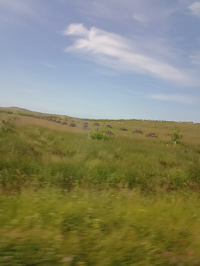 A low-angle, wide shot captures a landscape in Loughanure, Ireland, under a bright, partly cloudy sky. The foreground is dominated by a blur of green and yellow grass, suggesting motion. In the mid-ground, a gentle slope is covered in similar grasses, with scattered, dark, pile-like objects, possibly peat, interspersed across the terrain. A single, small green tree stands on the right side of the frame. The background features a distant hillside with a line of low trees or shrubs along its crest. The overall impression is of a rural, outdoor environment.