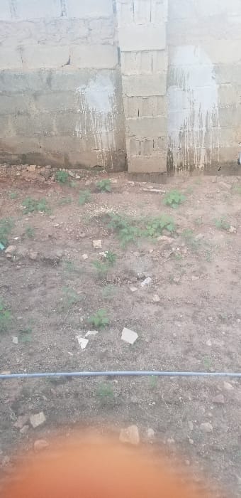 The image displays an outdoor scene in Ado-Ekiti, Nigeria, featuring a concrete block wall and an uncultivated plot of ground under overcast daylight conditions. The wall, constructed from grey concrete blocks, occupies the upper half of the frame. Two prominent vertical sections, likely reinforced pillars or buttresses, are integrated into the wall structure. White liquid, possibly paint or plaster, is splattered and streaks vertically downwards in multiple irregular rivulets across the concrete blocks, concentrated around the vertical sections. The ground in the lower half of the image consists of dry, reddish-brown earth, showing signs of minimal cultivation or natural growth. Scattered small green herbaceous plants and weeds are interspersed across the soil. Numerous small rocks, pebbles, and fragments of light-colored debris are visible on the ground surface. A single, thin, grey pipe runs horizontally across the lower-middle portion of the frame. No human subjects or active interactions are depicted. A blurred orange discoloration obscures the very bottom edge of the image.