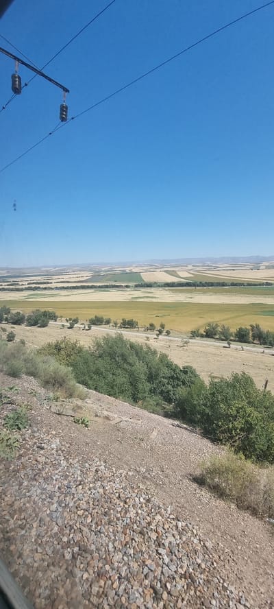 The image depicts a vast, agricultural landscape under a clear blue sky. The foreground features a rocky incline, possibly a railway embankment, with scattered stones and sparse vegetation. Beyond this, the terrain opens up to expansive fields with varying shades of green and golden yellow, indicating different crops or stages of growth. These fields are organized in geometric patterns, likely due to agricultural practices. A line of trees runs horizontally across the middle ground, separating sections of the fields. In the far distance, rolling hills fade into a hazy horizon. Overhead, power lines with ceramic insulators are visible, suggesting the presence of an electrified railway or power transmission infrastructure. The scene appears to be a rural area in or around Жаскешу, Kazakhstan, given the characteristic landscape of steppes and agricultural cultivation common to the region. There are no people or active events visible in the image.