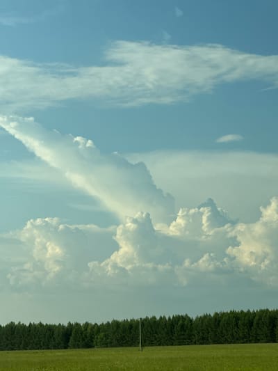 The image depicts a wide, expansive view of the sky above a line of dense green trees, with a grassy field in the foreground. The sky is a bright blue, populated by dramatic, white cumulus clouds. One particularly striking cloud formation appears as a long, sharp diagonal streak, possibly a virga or a cloud streak. Other clouds are more rounded and puffy, with some casting shadows. A single, thin, white utility pole stands vertically in the middle-right of the frame, just above the treeline. The treeline itself is a uniform, dark green band of conifers. The field in the foreground is a vibrant green, dotted with small, white wildflowers. The overall impression is of a clear, sunny day in a rural or semi-rural setting. The location is identified as Nizhnee Kechevo, Russia.