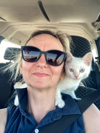 This is a selfie taken by a woman in a car, with a white kitten on her shoulder. The woman is wearing sunglasses and a dark blue collared shirt. The kitten has bright blue eyes and is looking at the camera. The background shows the interior of a car, including a car seat and part of the dashboard. The scene appears to be set during the daytime, with sunlight visible. The woman's expression is neutral, and the kitten appears curious. The image was taken in Nesvizh, Belarus.