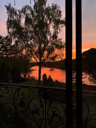 The image shows a view from a balcony or window in Shchelkovo, Russia at sunset. The sky has shades of pink, orange and grey. A large tree with foliage is positioned prominently in the foreground, partially obscuring the view. Beyond the tree, a body of water is visible, reflecting the orange and pink hues of the sunset. The water seems to be a lake or wide river. The opposite bank of the water is lined with trees and greenery. The image is framed by a metal railing in the lower right and horizontal bars across the top portion of the image. The railing has a decorative design with curved lines and circular elements. The overall scene conveys a tranquil atmosphere.