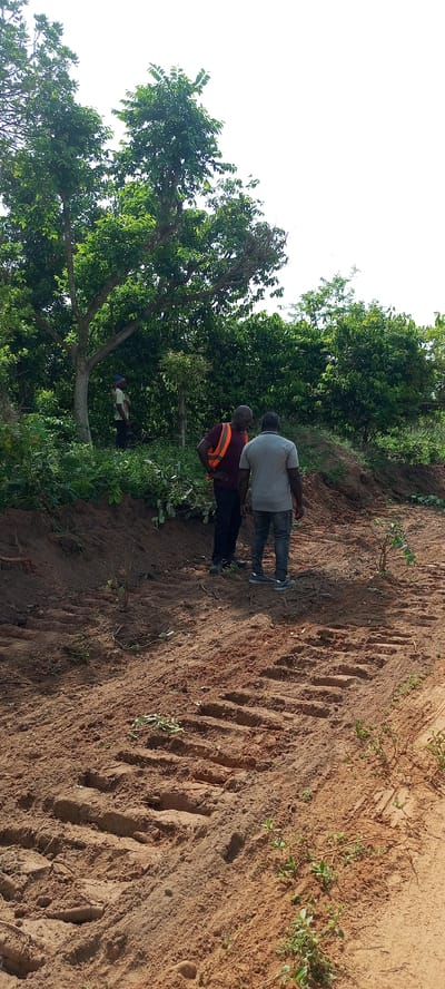 This image captures an outdoor scene in Otunade, Nigeria, featuring three men amidst lush green vegetation and reddish-brown earth.

In the foreground and mid-ground, the earth is bare and appears recently disturbed, possibly by heavy machinery, as evidenced by clear, wide tread marks imprinted on the soil. Scattered small green plants are sparsely visible on the ground.

Two men stand in the mid-ground, seemingly engaged in conversation or observing the terrain. One man, with his back mostly to the camera, wears a light grey t-shirt, dark trousers, and light-colored sneakers. Beside him, another man wears a maroon t-shirt with an orange reflective safety vest over dark trousers, his head slightly turned towards the first man. Further in the background, to the left, a third man is partially visible, obscured by dense green foliage and tree trunks. He appears to be wearing a light-colored top and a distinct blue and white patterned head covering or hat.

The background is dominated by a thick canopy of tall green trees and dense bushes, indicating a natural or semi-rural environment. The sky above the trees is bright white, suggesting it is daytime with either strong sunlight or an overcast sky. The overall impression is one of land surveying, construction preparation, or agricultural development.

No discernible text is visible in the image.