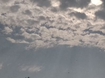 The image depicts a cloudy sky over Bulaev, Kazakhstan. The clouds are a mix of white and gray, with some areas illuminated by sunlight. The sky is a light blue-gray color. Two birds are visible in flight against the sky. The bottom of the image shows a sliver of tree branches. The overall impression is one of a partly cloudy day.