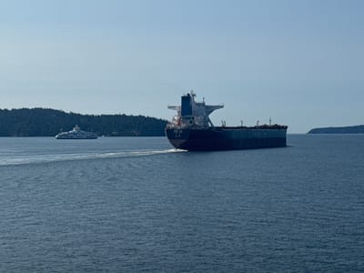 A cargo ship is seen in the foreground of the image, sailing on a large body of water. The ship is dark in color and appears to be a bulk carrier, with a prominent superstructure at the rear. A wake trails behind it, indicating movement. In the background, a ferry is visible in the distance, heading towards a wooded island. The sky is clear and blue, with a hint of haze. The water is calm and reflects the blue of the sky. The location is likely within the waters surrounding Salt Spring Island Electoral Area, Canada, given the presence of ferries and islands characteristic of the region.