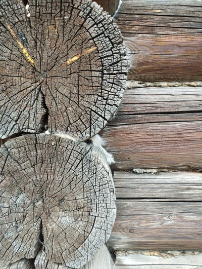 The image displays a close-up view of a weathered wooden structure, likely a log cabin. On the left side of the frame, two circular cross-sections of large logs are visible, showcasing intricate growth rings and deep cracks. These logs appear old and dry, with a grayish-brown, textured surface. Some light yellow material, possibly resin or sap, is present within the cracks of the upper log. White, fluffy material, possibly insulation or animal fur, is seen in the gaps between the logs. The right side of the image features horizontal wooden planks, forming a wall. These planks are of varying widths and exhibit a darker, reddish-brown hue, with visible grain patterns and some knots. The overall scene suggests an outdoor setting, characterized by the rustic and aged appearance of the wood. The location is identified as Ширяево (ильинский), Russia.