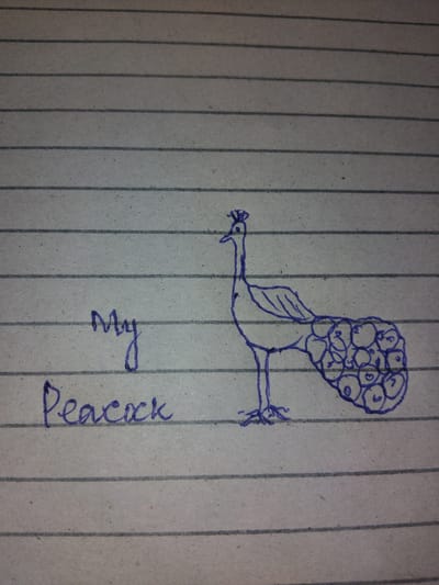 A hand-drawn blue ink illustration of a peacock is depicted on lined paper. The peacock is facing left, with its long neck extended and a crest on its head. Its tail is fanned out and filled with circular patterns representing eyespots. To the left of the peacock, the words "My Peacock" are written in blue ink. The paper is gray and has horizontal lines across it, typical of notebook paper. This image is not located in a specific city in Pakistan.