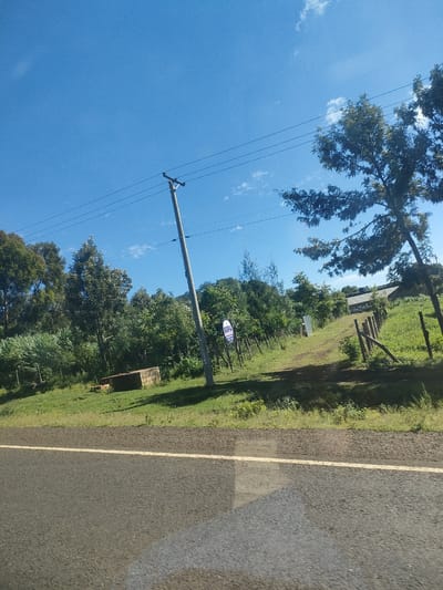 The image shows a roadside scene in Kenya. The road, with a visible yellow center line, is in the foreground. Beyond the road is a grassy verge with sporadic trees and foliage. A concrete structure is partially visible on the verge. A utility pole with power lines stands near a sign reading "SIFA." Further back, a dirt path leads toward buildings with light-colored roofs. A wooden fence is partially visible along the path. The sky is clear and blue with sparse clouds.