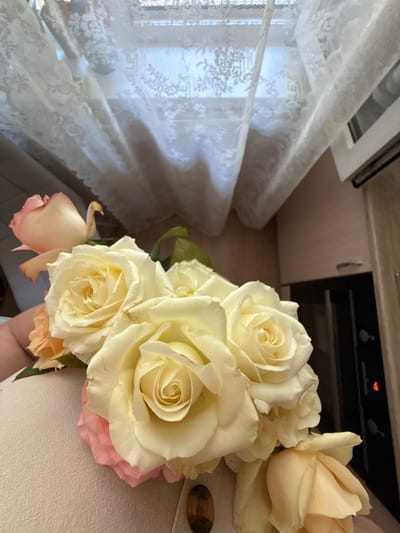 In an indoor setting, a bouquet of roses is held in someone's arms, positioned in the foreground. The roses are a mix of cream and pale pink hues, with their petals unfurling. Behind the flowers, a white lace curtain is draped across a window, filtering sunlight and casting subtle patterns. To the right of the curtain, a portion of a kitchen cabinet is visible, suggesting the room might be a kitchen or dining area. The background is softly blurred, with hints of the cabinet's wooden texture and a dark appliance, possibly an oven. The overall scene conveys a sense of domestic tranquility.