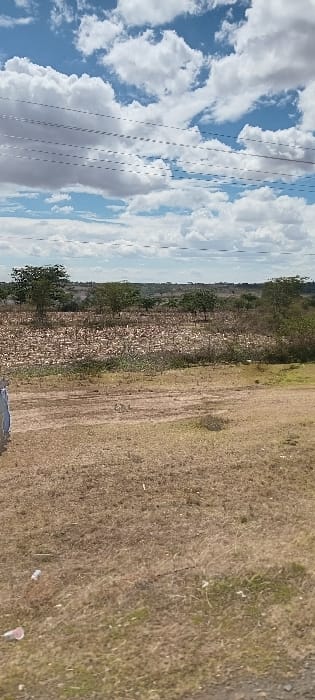 A landscape view features a bright blue sky with white, puffy clouds traversed by power lines. Adjacent is a band of lush green vegetation interspersed with trees. Next to this area is a wide expanse of dry, golden brown grass covering a significant portion of the scene. The image is oriented sideways, giving an unusual perspective.