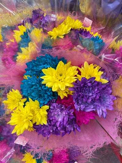 A close-up, overhead shot displays a vibrant bouquet of chrysanthemums. The flowers are arranged in a tight cluster, predominantly featuring bright yellow, deep purple, and striking teal blue blooms. These are interspersed with fuchsia pink and more pastel purple flowers, all wrapped in clear plastic. The plastic packaging has a subtle sheen, and some of the flowers are adorned with thin, pink, feathery material, creating a layered effect. There are small, white rectangular tags visible within the bouquet, suggesting they are for sale, possibly at a florist shop. The lighting is bright, highlighting the saturated colors of the flowers and creating a slightly reflective quality on the packaging. The background is blurred and indistinct, dominated by more of the colorful flowers and the plastic wrap, giving the impression of a retail display. There are no people visible in the image, and the scene appears to be an indoor setting, such as a flower shop or market stall. The location of Edgartown, United States of America is not discernible from the visual information in the image.