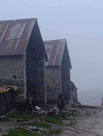 In the city of Marhi, India, a person walks past two stone buildings with rusted corrugated metal roofs. A cow stands near the building on the left. The ground is covered in dirt, rocks, and trash, with patches of green grass. The sky is overcast, and fog obscures the background.