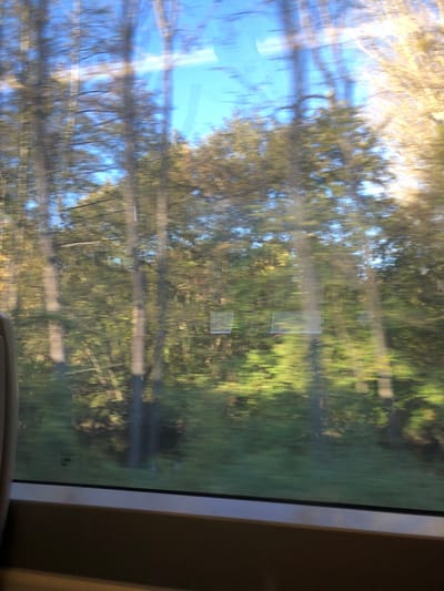 The image presents an exterior scene viewed through a window, exhibiting significant motion blur. The lower portion of the frame reveals a dark grey window sill and a light grey curved structure on the far left, consistent with an interior view from a moving vehicle, likely a train, in Dettwiller, France. Beyond the window, a forest or dense tree line is depicted under a clear, bright blue sky. Numerous tree trunks, mostly dark and vertically streaked due to motion, are visible, interspersed with blurred green and yellow-brown foliage. The ground beneath the trees consists of vibrant green vegetation, horizontally streaked from movement. Reflections and minor imperfections are discernible on the window glass. The scene is illuminated by natural daylight. No individuals, specific actions, or interactions are discernible.