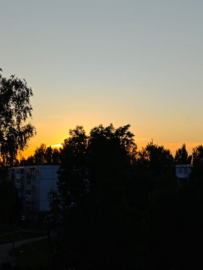A low-angle shot captures a sunset over a residential area in Zaklinye, Russia. The sky transitions from a pale blue at the top to a vibrant orange and yellow near the horizon, indicating dusk. Silhouetted trees dominate the foreground, with dark foliage obscuring the details of their branches. Behind the trees, a light blue apartment building is partially visible, with several windows and air conditioning units showing. Another building, also in silhouette, appears on the far right of the frame. A small bird is visible in the sky, soaring against the colorful sunset. The overall mood is peaceful and serene, reflecting the quiet beauty of twilight in a suburban landscape. The scene is set in an outdoor environment, likely a residential neighborhood, given the presence of apartment buildings. There are no people visible in the frame.