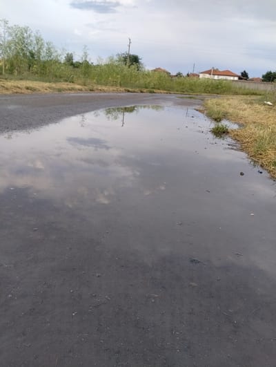The image, taken in Roza, Bulgaria, depicts a tranquil, semi-rural scene, likely a path or unpaved road, after rain. The foreground and midground are dominated by a large, dark puddle or expanse of standing water, which reflects the sky.

To the left of this wet area, a strip of natural vegetation runs along what appears to be a bank or roadside. This vegetation comprises both green leafy plants and dry, yellowish grass. Further into the midground on the left, several houses with distinct reddish-orange tiled roofs are visible, interspersed with trees. Faint outlines of utility poles can also be seen, both directly and as reflections in the water.

The sky, as reflected in the puddle, appears overcast or partly cloudy, with varying shades of grey and white clouds. The reflective surface of the water also shows the muted reflections of the surrounding vegetation and structures. Scattered debris, including small leaves, bits of grass, and dirt, is visible both within the water and on the adjacent ground, which is a mix of dark earth and small stones.

The scene is devoid of people or explicit activity, conveying a sense of stillness. The light suggests it is daytime, possibly morning or afternoon. There is no visible text in the image.