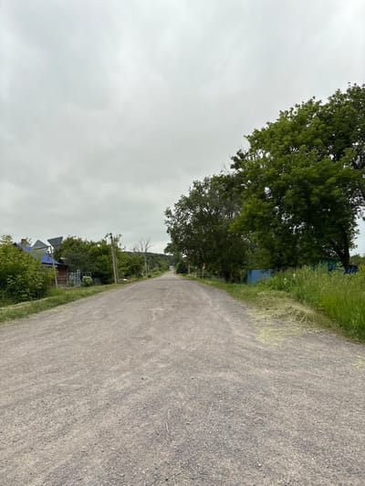 The image depicts a rural road in Siniy Gay, Russia, under an overcast sky. The road is unpaved and appears to be made of gravel. On the left side of the road, there is a small wooden house with a blue roof, surrounded by green bushes and trees. Several utility poles are visible along the roadside. On the right side of the road, there are tall green trees and a blue fence. The road stretches into the distance, disappearing over a gentle incline. The overall scene is one of a quiet, natural, and somewhat secluded rural environment.