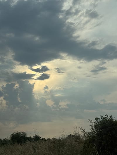 The image depicts a cloudy sky over a natural landscape, likely in the city of Ryahovo, Bulgaria. The foreground is filled with dry grasses and vegetation, with several trees forming a dark line along the horizon. In the sky, dark gray clouds dominate, with patches of lighter, brighter sky peeking through, suggesting the presence of the sun partially obscured by the clouds. The overall atmosphere is somber and slightly dramatic due to the cloud cover and lighting. There are no people or discernible human activity present in the image.